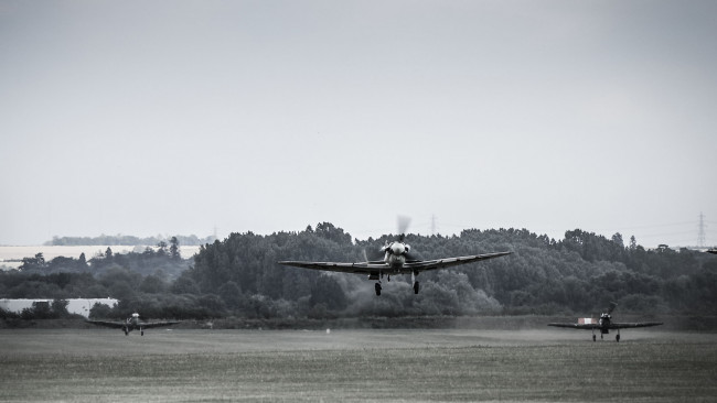 Обои картинки фото авиация, лёгкие, одномоторные, самолёты, деревья, газон