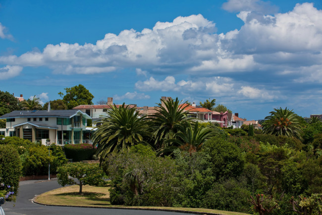 Обои картинки фото новая, зеландия, окленд, города, пейзажи, дома, улица, ландшафт