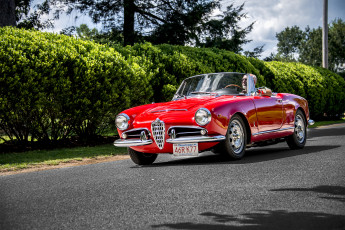 Картинка alfa+romeo+1600+cabrio автомобили alfa+romeo автошоу автопробег выставка