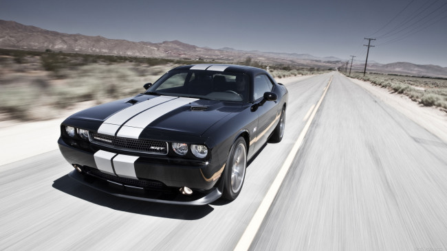 Обои картинки фото автомобили, dodge, авто, challenger, машины