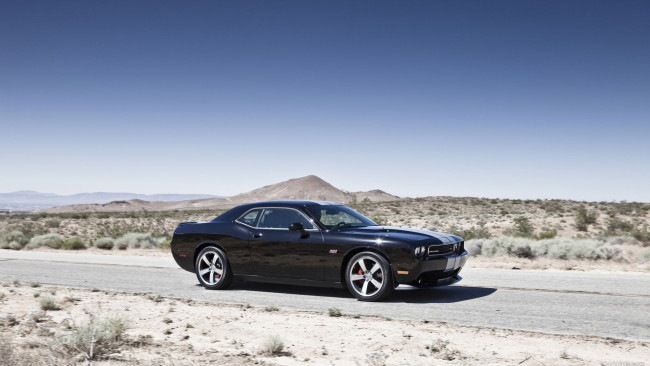 Обои картинки фото автомобили, dodge, авто, challenger, машины