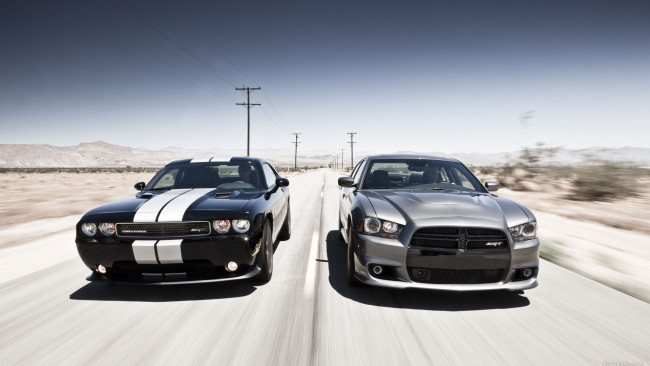 Обои картинки фото автомобили, разные вместе, several, dodge