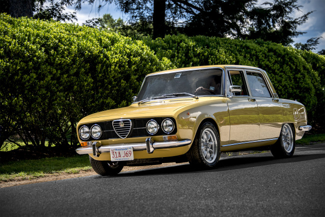 Обои картинки фото alfa romeo 2000 berlina, автомобили, alfa romeo, автопробег, выставка, автошоу