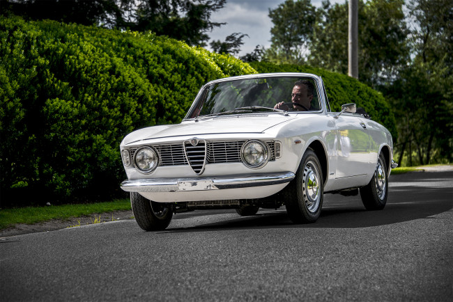 Обои картинки фото alfa romeo giulia gtc, автомобили, alfa romeo, автопробег, выставка, автошоу