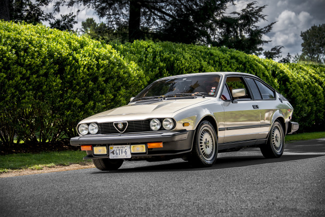 Обои картинки фото alfa romeo gtv6, автомобили, alfa romeo, автопробег, автошоу, выставка