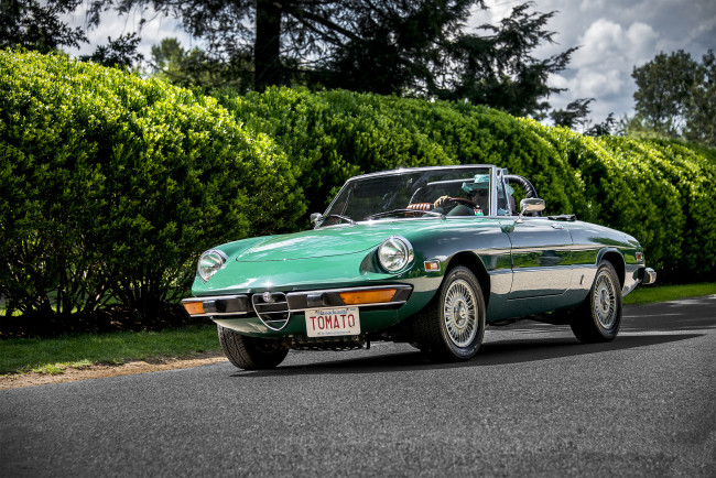 Обои картинки фото alfa romeo spider, автомобили, alfa romeo, автопробег, выставка, автошоу