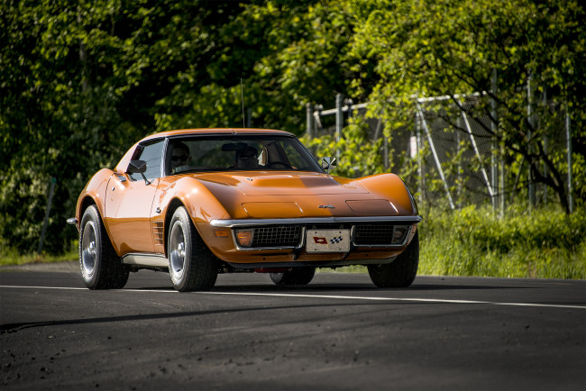 Обои картинки фото chevrolet corvette, автомобили, corvette, автопробег, выставка, автошоу