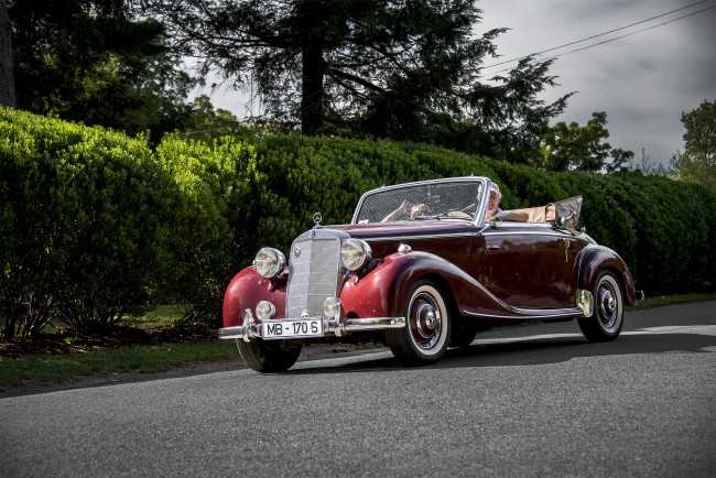 Обои картинки фото mercedes-benz 170, автомобили, классика, автошоу, выставка, автопробег