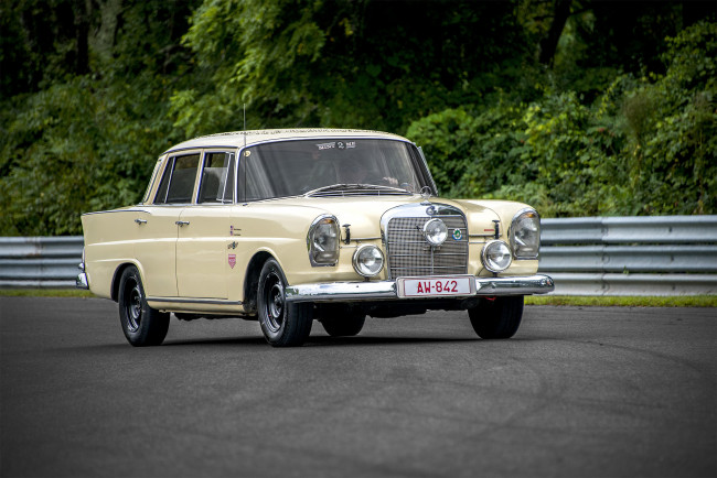 Обои картинки фото mercedes-bez w108, автомобили, mercedes-benz, выставка, автопробег, автошоу