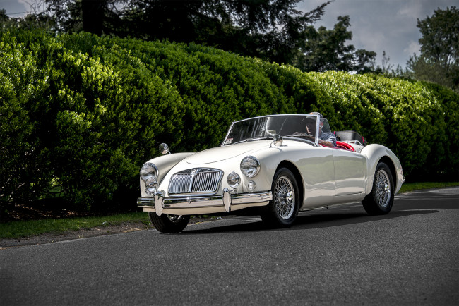 Обои картинки фото mg mga, автомобили, mg, автопробег, выставка, автошоу