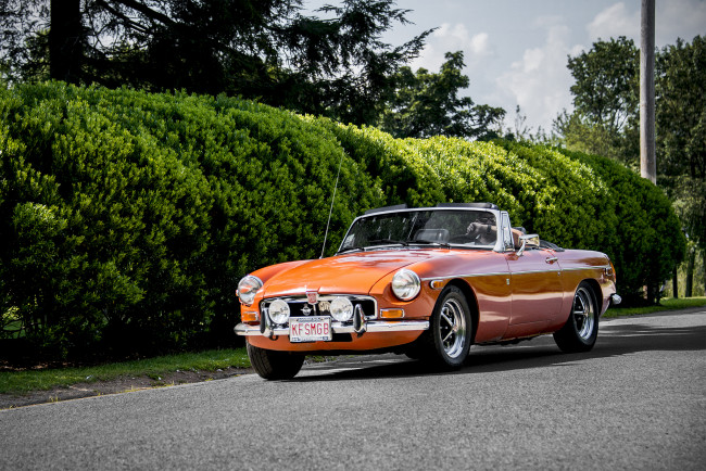 Обои картинки фото mg mgb, автомобили, mg, автопробег, выставка, автошоу