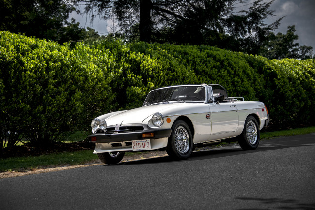 Обои картинки фото mg mgb, автомобили, mg, автопробег, выставка, автошоу