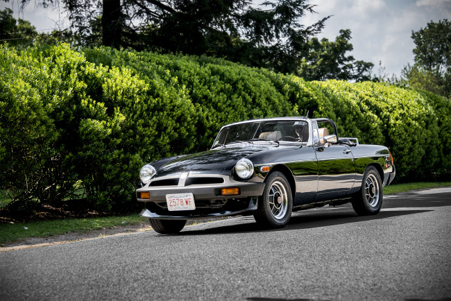 Обои картинки фото mg mgb, автомобили, mg, выставка, автошоу, автопробег