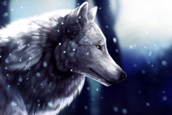 Картинка рисованное животные +волки фон взгляд волк