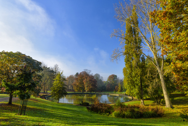 Обои картинки фото природа, парк, пруд