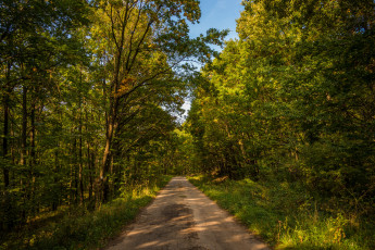 Картинка природа дороги простор