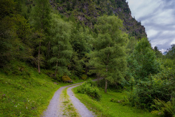 Картинка природа дороги простор