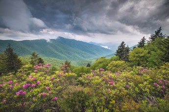 Картинка природа пейзажи простор