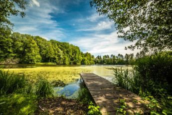 Картинка природа реки озера простор