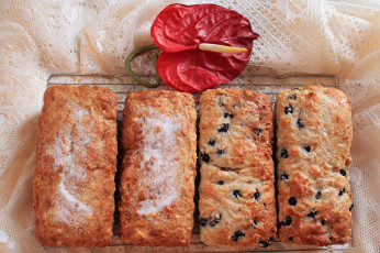 Картинка еда пирожные +кексы +печенье кексы