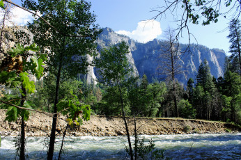 Картинка природа реки озера лес река