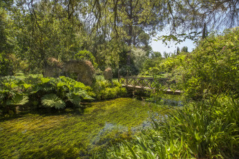 Картинка природа реки озера лес река