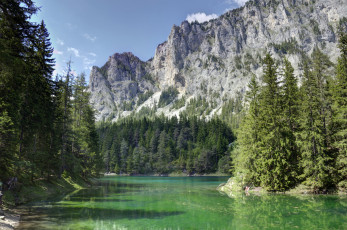 Картинка природа реки озера река лес