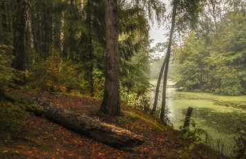 Картинка природа реки озера простор