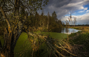 Картинка природа пейзажи простор