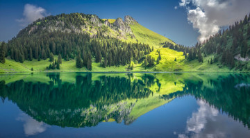 Картинка природа реки озера река лес