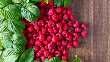 Картинка еда малина ягоды листья