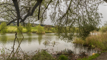 Картинка природа реки озера простор