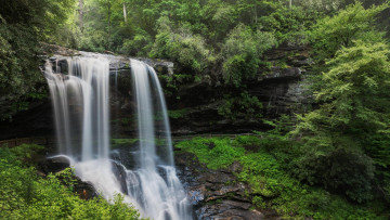 Картинка природа водопады лес скала поток