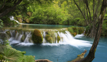 Картинка природа реки озера река лес