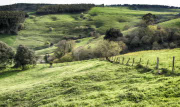 Картинка природа пейзажи простор