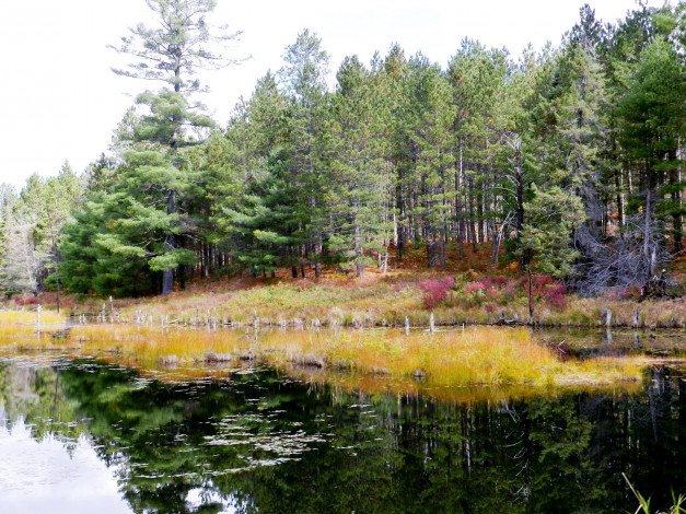 Обои картинки фото природа, реки, озера, лес, река, осень