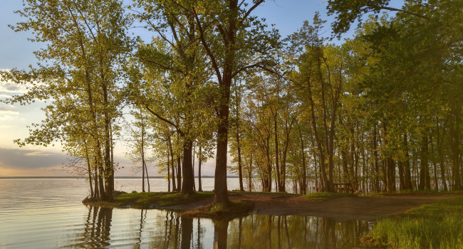 Обои картинки фото природа, реки, озера, река, лес