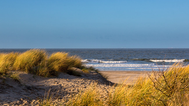 Обои картинки фото природа, побережье, море, дюны