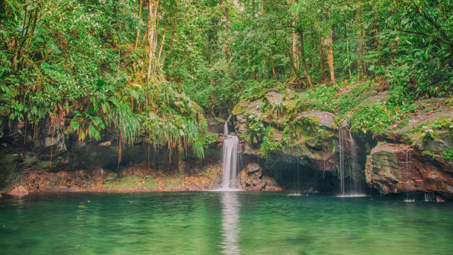 Обои картинки фото природа, водопады, лес, скала, поток