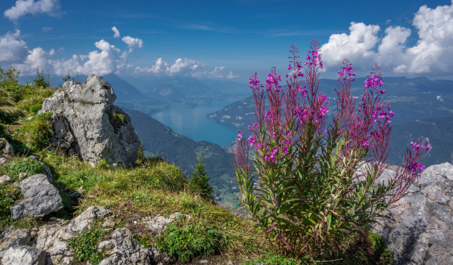 Обои картинки фото природа, пейзажи, простор