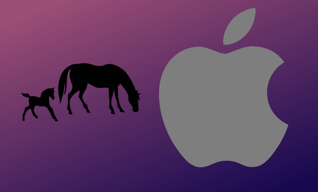 Обои картинки фото компьютеры, apple, фон, логотип