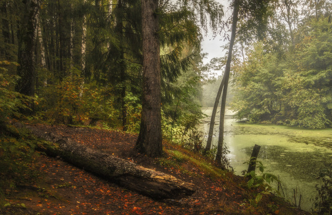 Обои картинки фото природа, реки, озера, простор