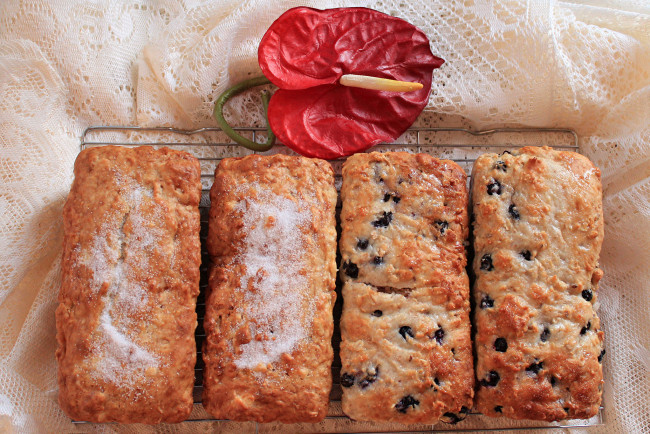 Обои картинки фото еда, пирожные,  кексы,  печенье, кексы