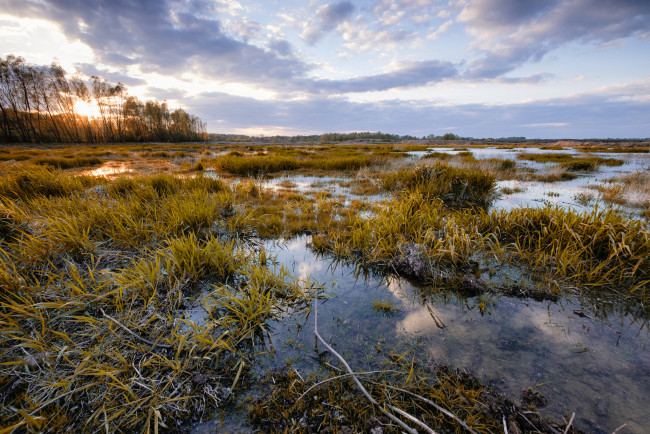 Обои картинки фото природа, реки, озера, лес, река