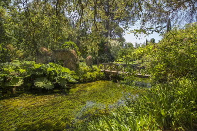 Обои картинки фото природа, реки, озера, лес, река