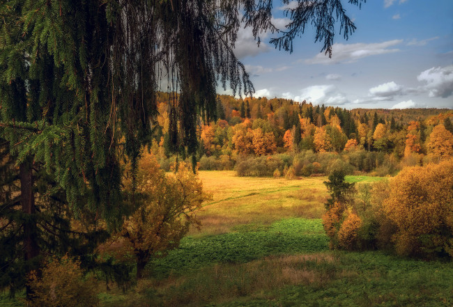 Обои картинки фото природа, пейзажи, простор