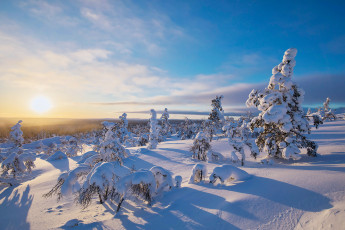 Картинка природа зима простор