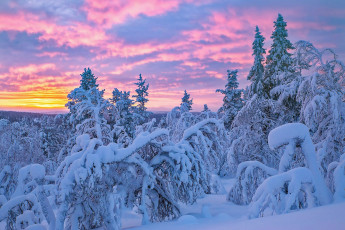 Картинка природа зима простор