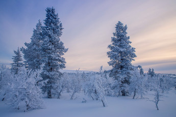 Картинка природа зима простор