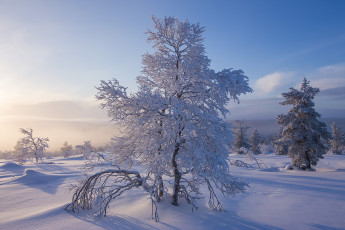 Картинка природа зима простор